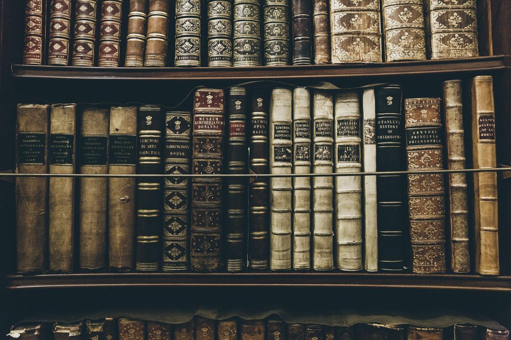 Bücherregal
